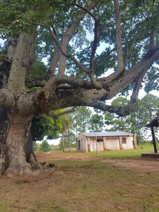 Chacra Mita í * La Cruz (Corrientes)